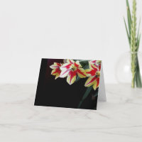 Elegant blank note card - Red & Yellow Tulips
