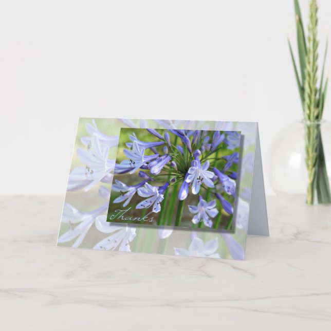 Elégant Blue Agapanthus Toute Occasion Carte Merci (Devant)