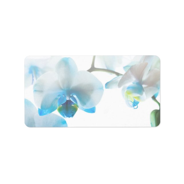 Elegant Blue Orchids Custom Labels (Front)