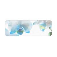 Elegant Blue Orchids Custom Labels