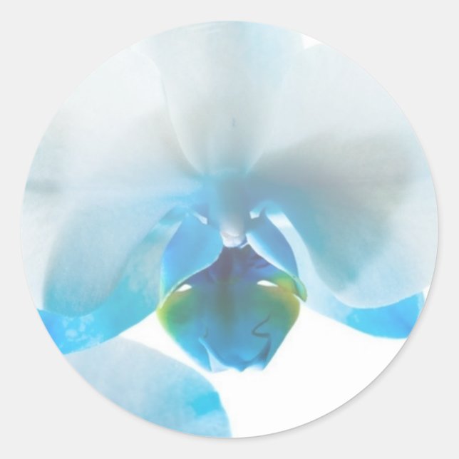 Elegant Blue Orchids Custom Stickers (Front)