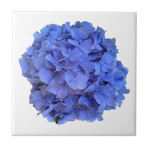 Elegant Blue periwinkle floral hydrangeas Tile