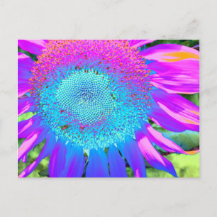 Elegant Blue pink purple retro sunflower Postcard