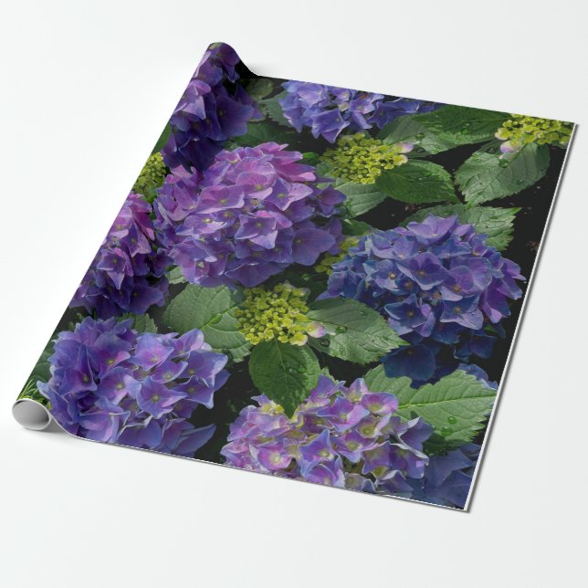 Elegant blue purple magenta green floral hydrangea wrapping paper (Unrolled)
