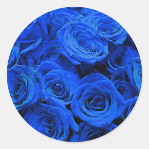 Elegant blue roses blue flowers blue floral classic round sticker