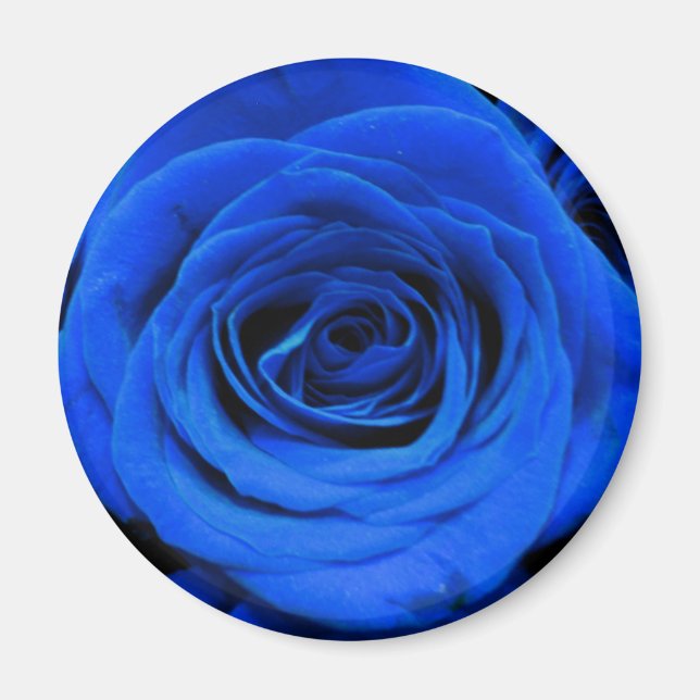 Elegant blue roses blue flowers blue floral magnet (Front)
