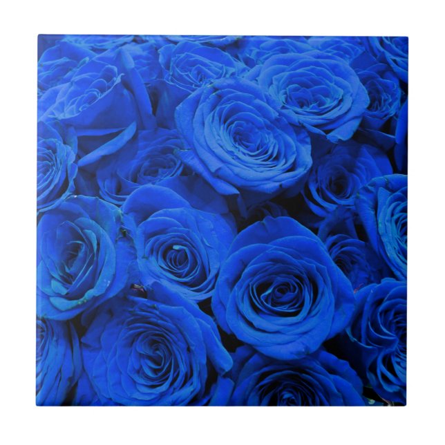 Elegant blue roses blue flowers blue floral tile (Front)