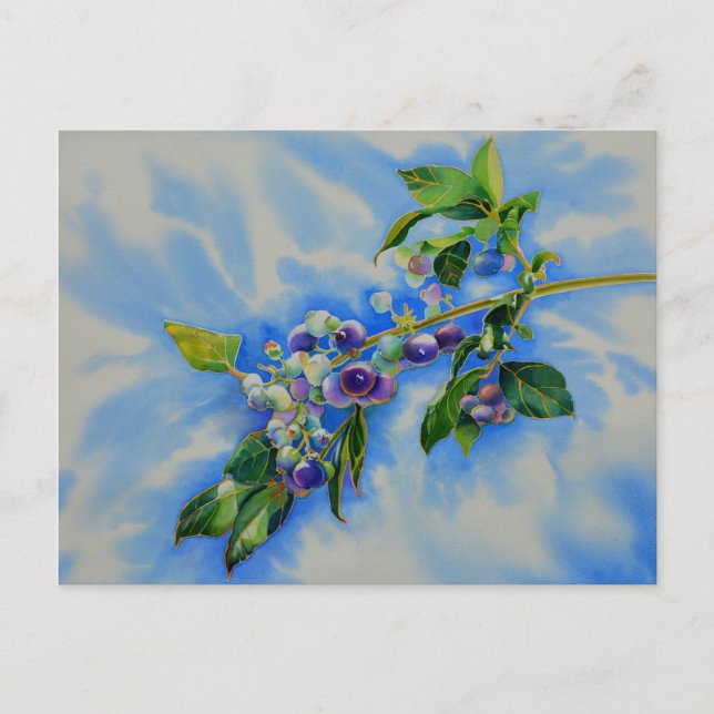 Elegant Blueberry watercolor painting Postcard (Front)