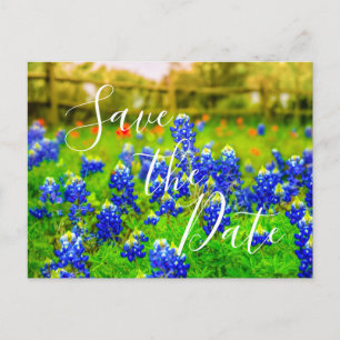 Elegant Bluebonnets Spring Save The Date Announcement Postcard