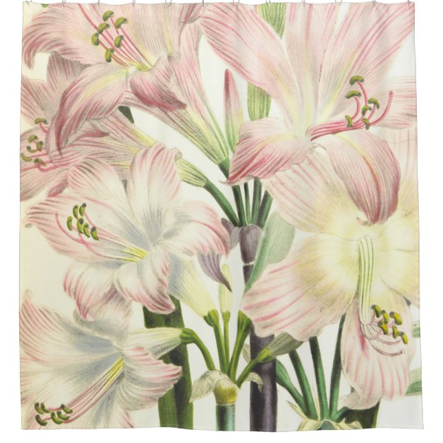 Elegant Blush Lilies (Front)