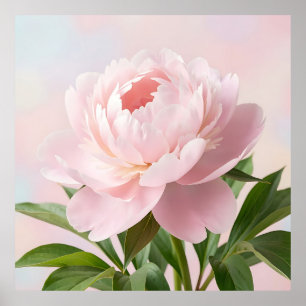  Elegant Blush Pink Peony Realistic Floral  Poster
