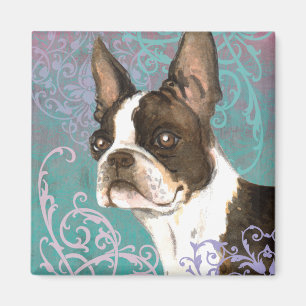 Elegant Boston Terrier Magnet