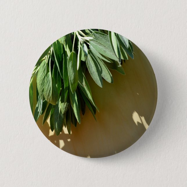 Elegant botanical green herbs leaves sage 2 inch round button (Front)