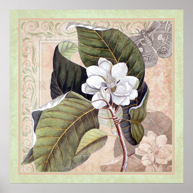 Elegant Botanical Southern Style Poster Magnolia (Front)