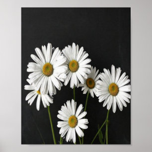 Elegant Botanical Still Life of Radiant White Oxey Poster