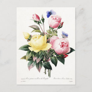 Elegant Botanical Vintage Watercolor Rose Bouquet  Postcard