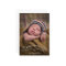 Elegant Bracket Holiday Photo Card