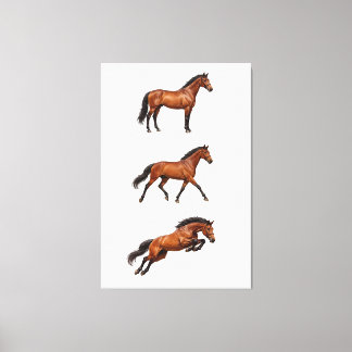 Elegant Brown Horse Wall Art Poster