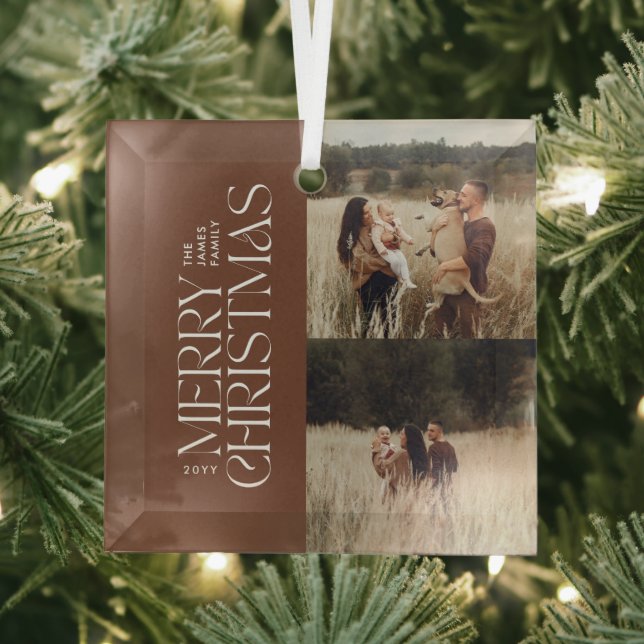 Elegant brown natural foliage modern minimal photo glass ornament (Insitu)