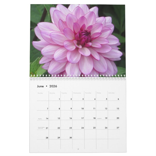 Élégant calendrier botanique coloré Dahlias (Jun 2026)