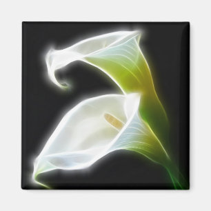 Elegant Calla Lily Flowers 8 Modern Magnet
