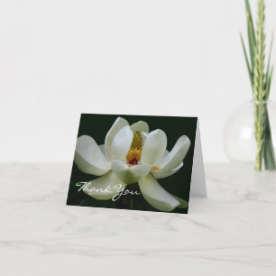 Élégant Carte de remerciements de Magnolia Blanche