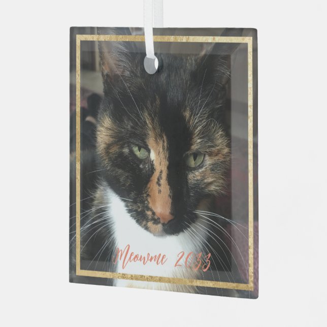 Elegant Cat Photo Custom Gold Trim Glass Ornament (Front Left)