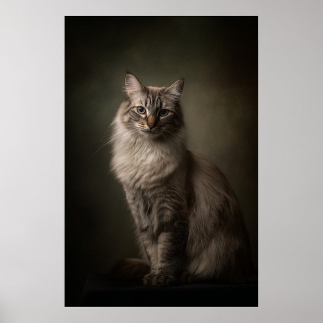 Elegant Cat Studio Portrait Poster (Front)