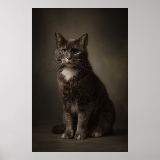 Elegant Cat Studio Portrait Poster (Front)