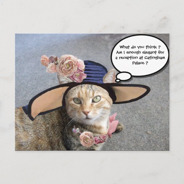 ELEGANT CAT WITH BIG DIVA HAT,PINK ROSES Valentine Holiday Postcard (Front)