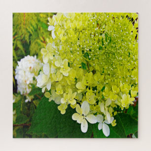 Elegant Chartreuse Green Limelight Hydrangea Jigsaw Puzzle
