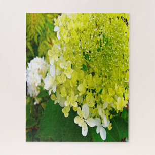 Elegant Chartreuse Green Limelight Hydrangea Jigsaw Puzzle