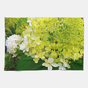 Elegant Chartreuse Green Limelight Hydrangea Kitchen Towel