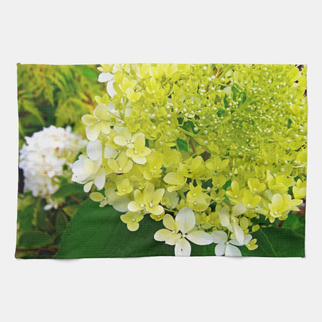 Elegant Chartreuse Green Limelight Hydrangea Kitchen Towel (Horizontal)