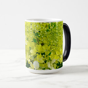 Elegant Chartreuse Green Limelight Hydrangea Magic Mug