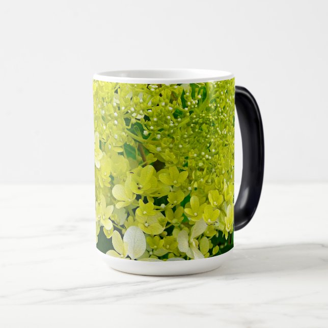 Elegant Chartreuse Green Limelight Hydrangea Magic Mug (Front Right)