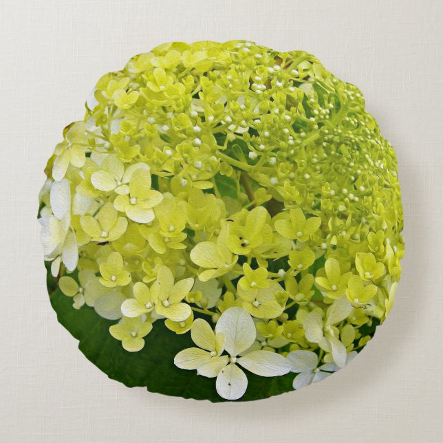 Elegant Chartreuse Green Limelight Hydrangea Round Pillow (Front)