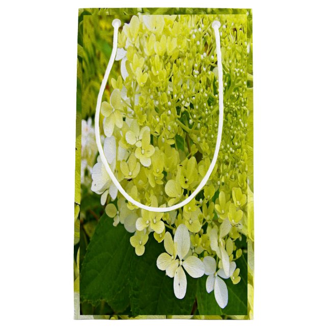 Elegant Chartreuse Green Limelight Hydrangea Small Gift Bag (Front)