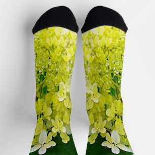 Elegant Chartreuse Green Limelight Hydrangea Socks