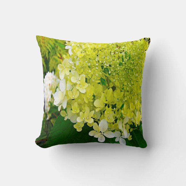 Elegant Chartreuse Green Limelight Hydrangea Throw Pillow (Front)