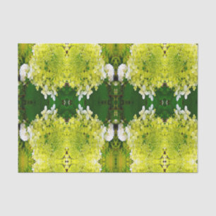 Elegant Chartreuse Green Limelight Hydrangea Tissue Paper