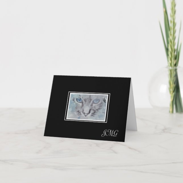 Élégant chat gris-argent sur Arrière - plan noir (Devant)