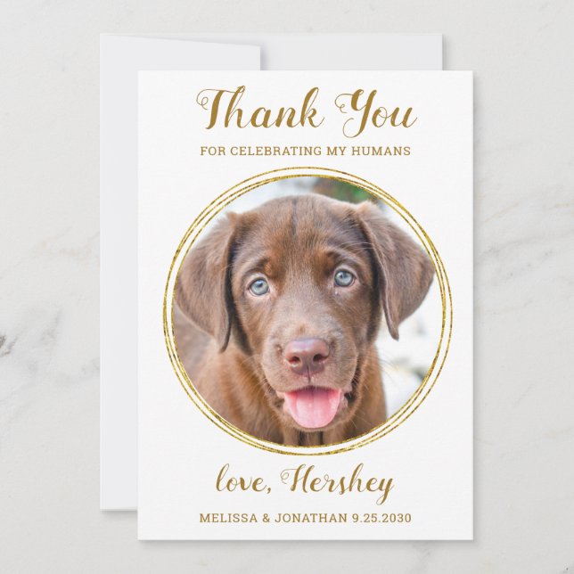 Elegant Chic Gold Custom Pet Photo Dog Wedding  Thank You Card (Front)