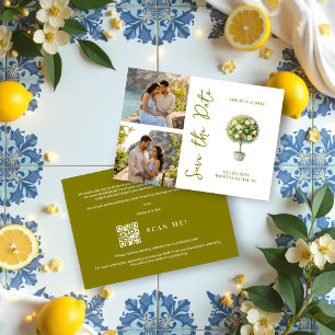 Elegant Citrus Mediterranean Topiary 2-Photo Save The Date