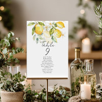 Elegant citrus table number seating chart cards