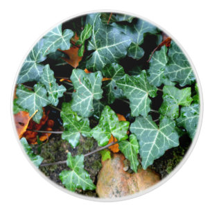 Elegant classic green Ivy and field stone Ceramic Knob