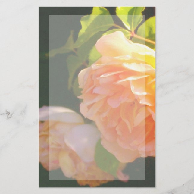 Elegant classic orange peach roses floral stationery (Front)