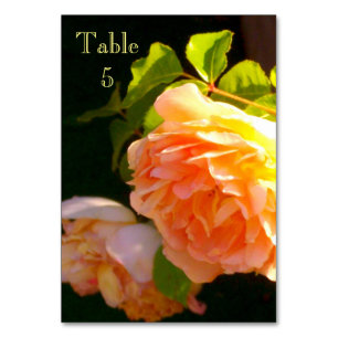 Elegant classic orange peach roses floral table number