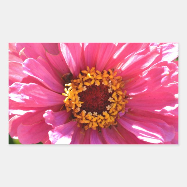 Elegant classic pink floral flower mum daisy sticker (Front)