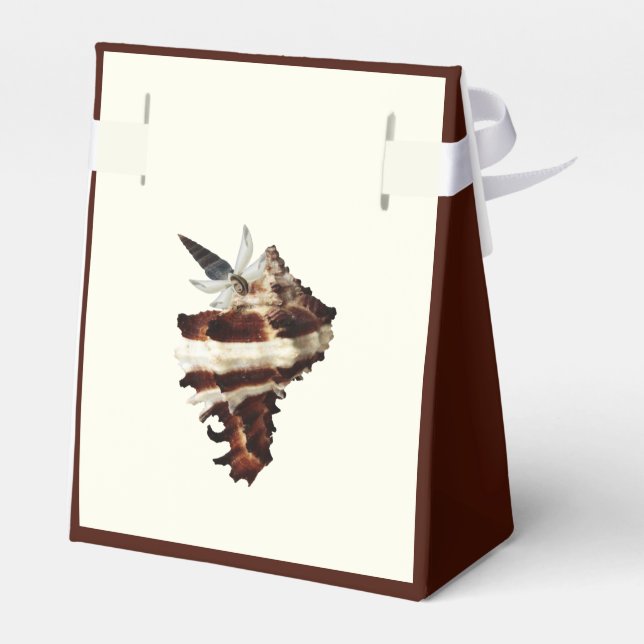 Elegant Coastal Seashell Butterfly Favor Box (Back Side)